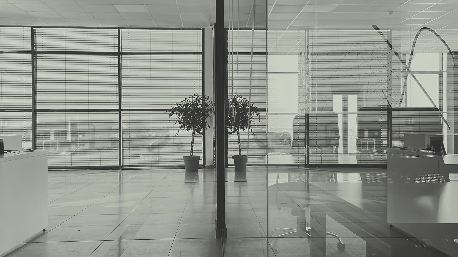 Modern office interior with large windows, blinds, a potted plant, and reflections on the tiled floor.